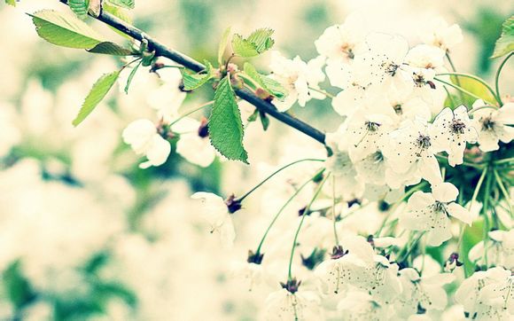 永泰云顶山攻略