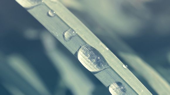 自由行去上海的攻略