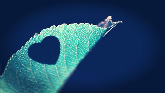 园山风景区有什么玩的