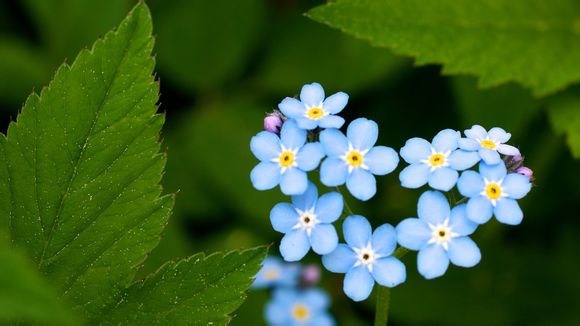 几月份上集安旅游最佳时间