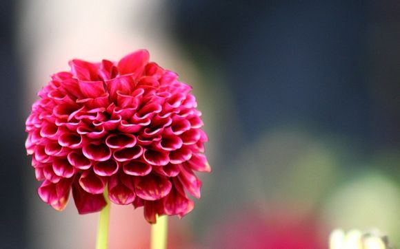 沙湖湿地公园门票价格