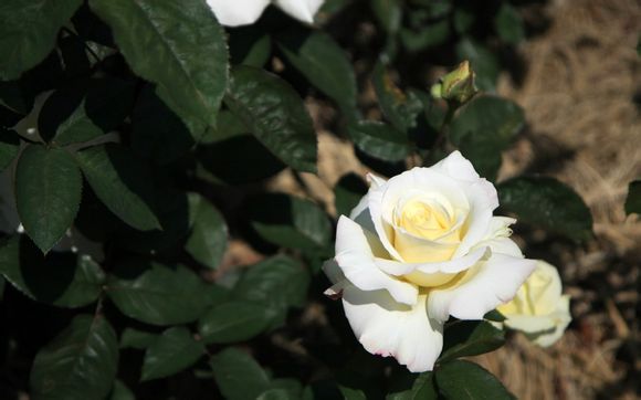 7月去草原旅游穿衣攻略