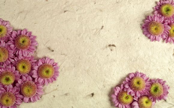 江宁农家乐度假村排名