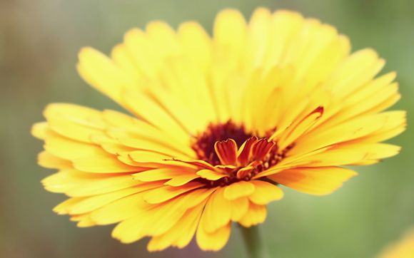 苍南渔寮好玩吗