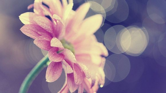 九寨沟飞机旅游攻略一日游