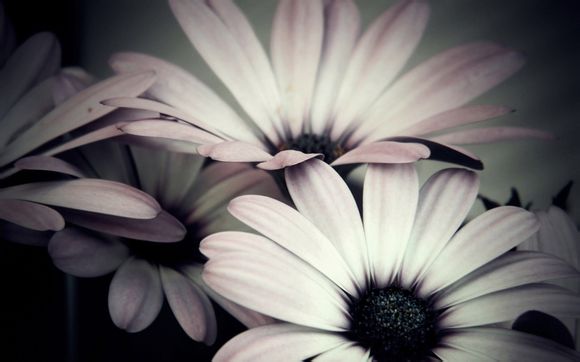 全国十大知名便利店有哪些