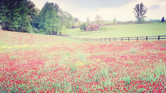 五台山进山费现在多少钱