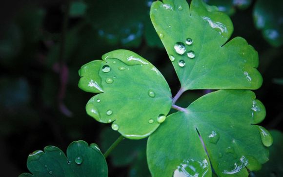 揭西温泉哪里好