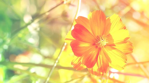 杭州特产去哪儿买最好