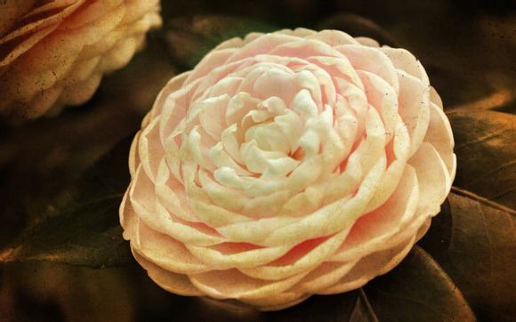 镜泊湖北门民宿