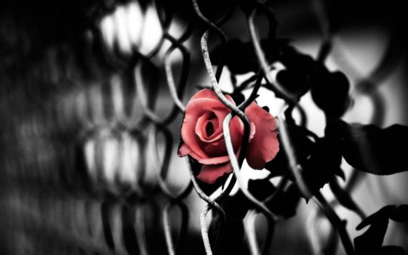 重庆旅游需要带什么必需品