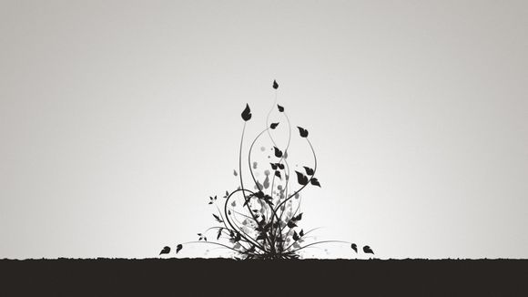 瑞丽一年封城几次