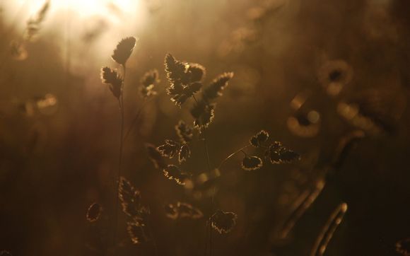 新疆什么时候去玩最好