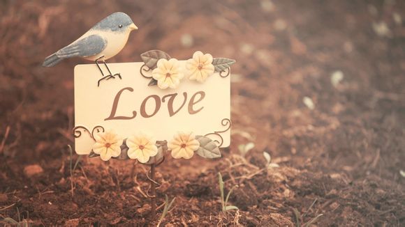 深圳旅游攻略景点大全