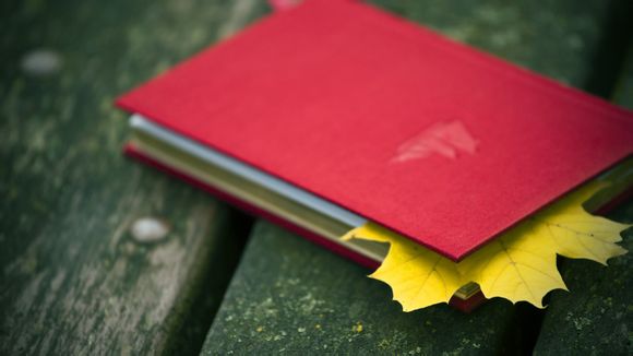 丽水冒险岛团购价