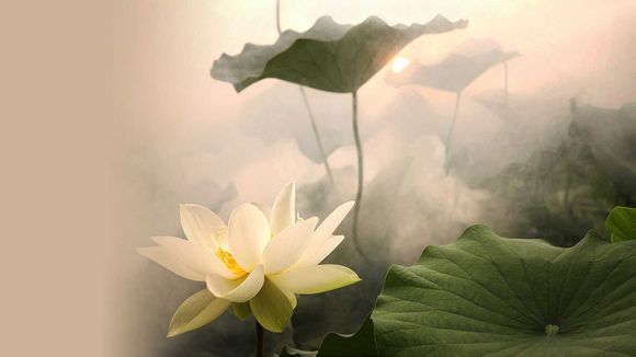 沈阳游乐场排名