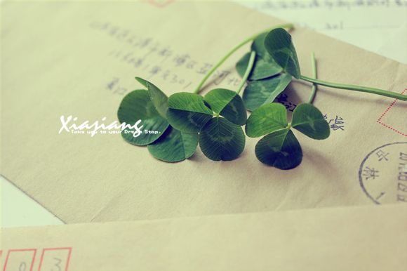 中江有哪些耍的地方