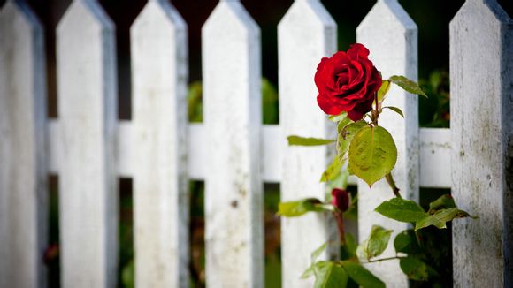 湖北麻城旅游景点推荐