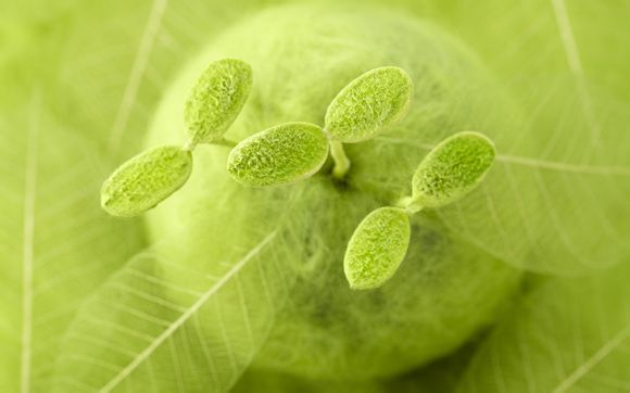 福州森林公园开放了吗