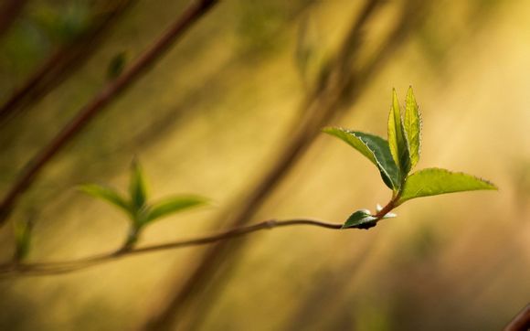 丰都鬼城一日游价格