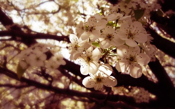 北京古装摄影馆排行