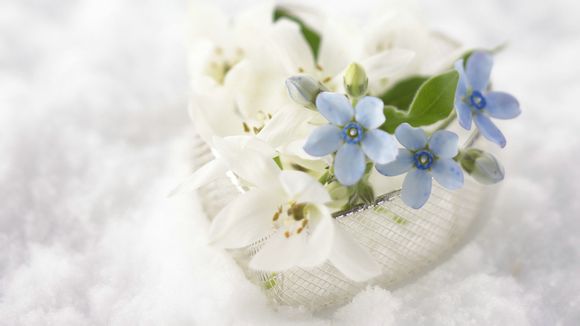 烈士公园门票多少钱一张