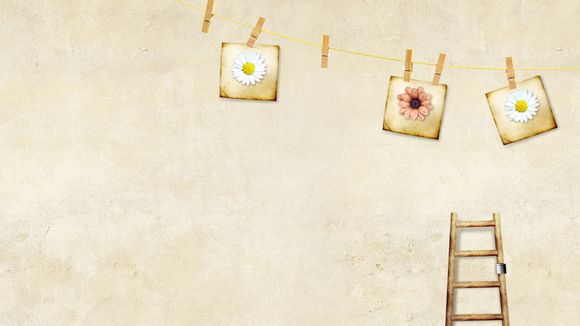 去九寨沟怎么去