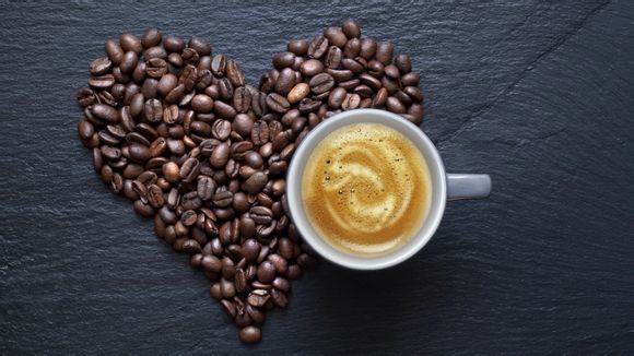 上海最好十大酒店排名