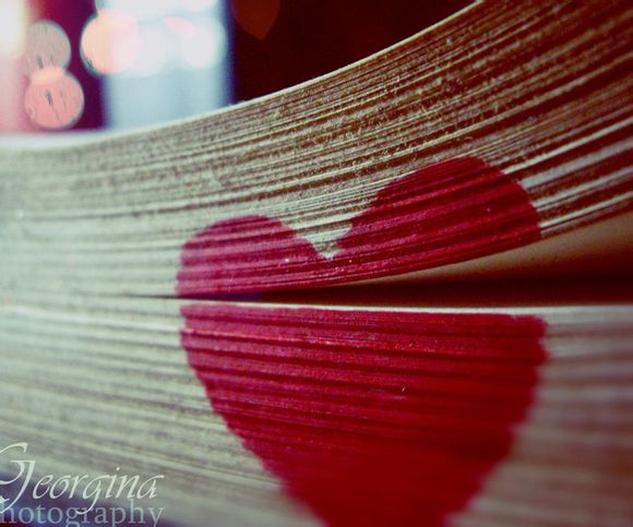 大连星海会展中心今日展什么