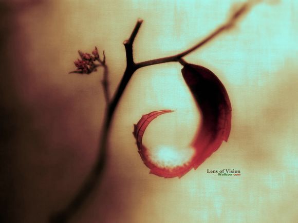 上海最近开什么博览会