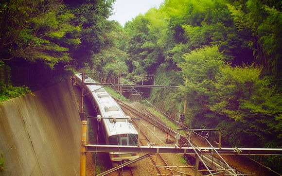 八大处公园2021年8月8日开放吗