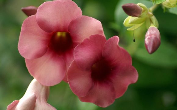 济南有什么好玩的地方值得去