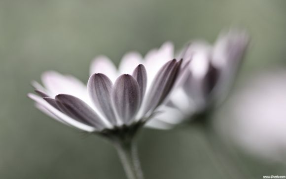 欢乐谷年票怎么买