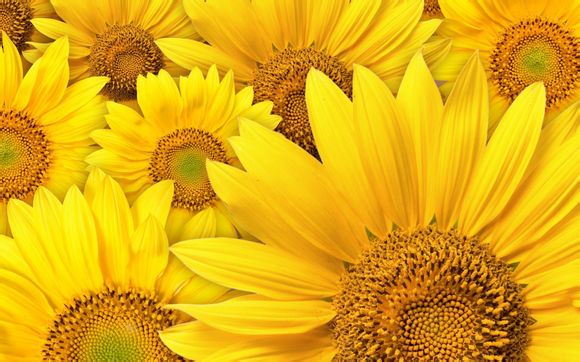 帕特农神庙在哪个国家