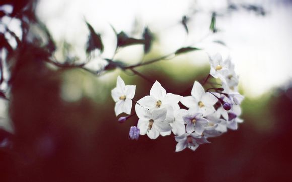 永济市属于几线城市