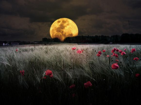 十一去哪玩好玩