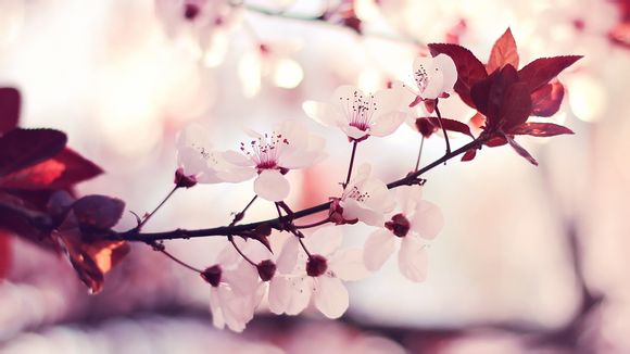 四川周边一日游最佳景点