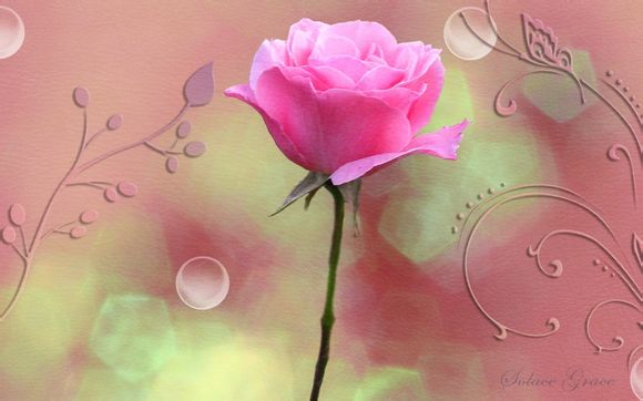 台儿庄旅游攻略必去景点