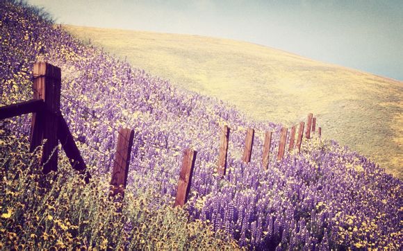 厦门万石植物园游玩攻略