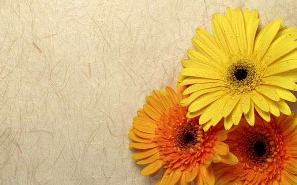 濮阳附近有什么旅游景点