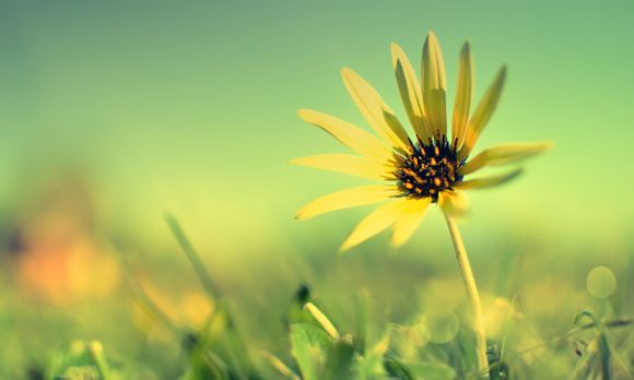 珠海淇澳岛自驾露营地点推荐